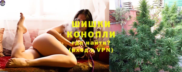 apvp Гусь-Хрустальный