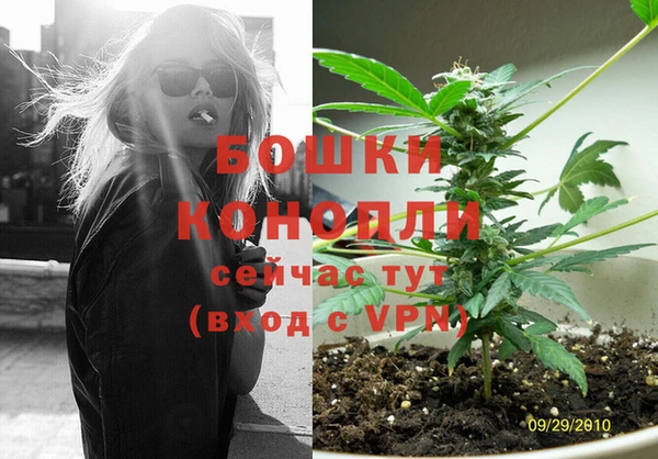apvp Гусь-Хрустальный